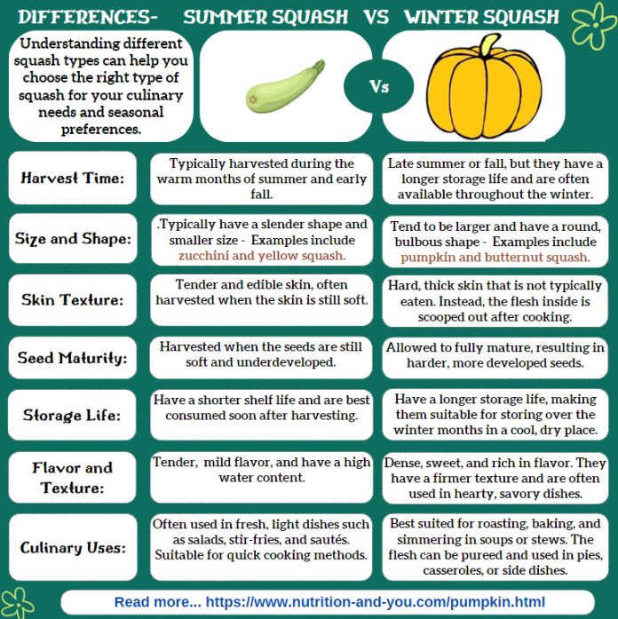 9 Amazing Delicata squash Nutrition facts and Health benefits