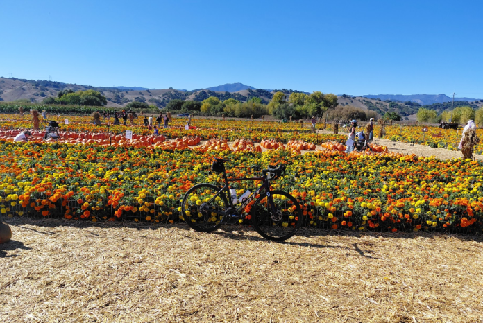 Pumpkin Patch Ride – BionicOldGuy