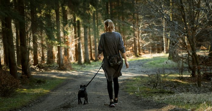 5 Ways to Work Out with Your Furry Friend