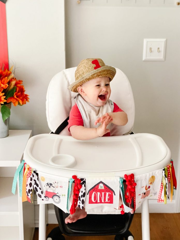 A Farm Theme First Birthday Party for Levi!