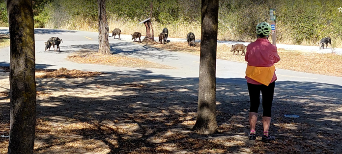 Loving Fall Riding – BionicOldGuy