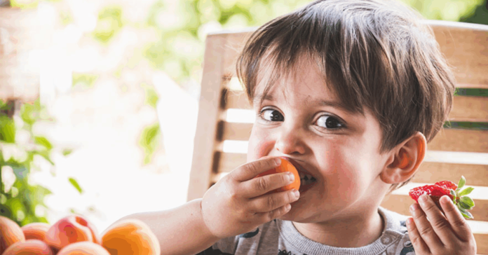 Organic vs. Natural vs. Healthy Foods: What’s The Difference - CHOC