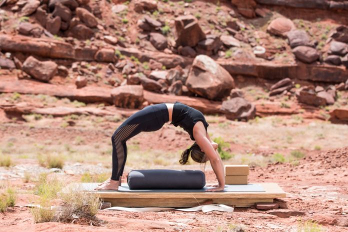 Vestibular System: Balancing in Yoga