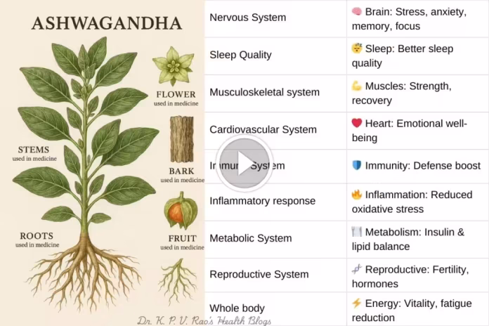 10 Proven Evidence-Based Benefits Of Ashwagandha And Uses