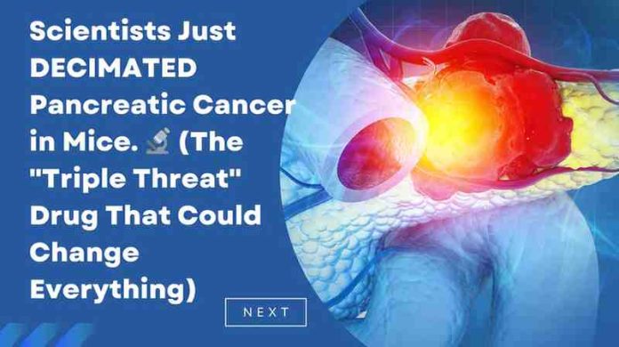 New Triple-Drug Treatment Eliminates Pancreatic Tumors in Mice, Study Finds