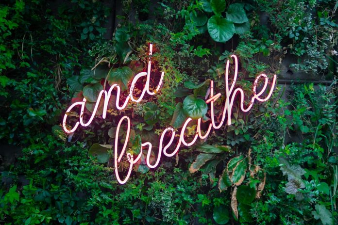 Tips for a Healthier You