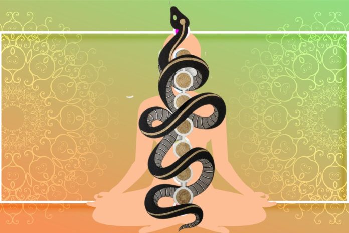 Kundalini Snake: The Meaning and Power of Serpent in Kundalini Yoga - Fitsri Yoga