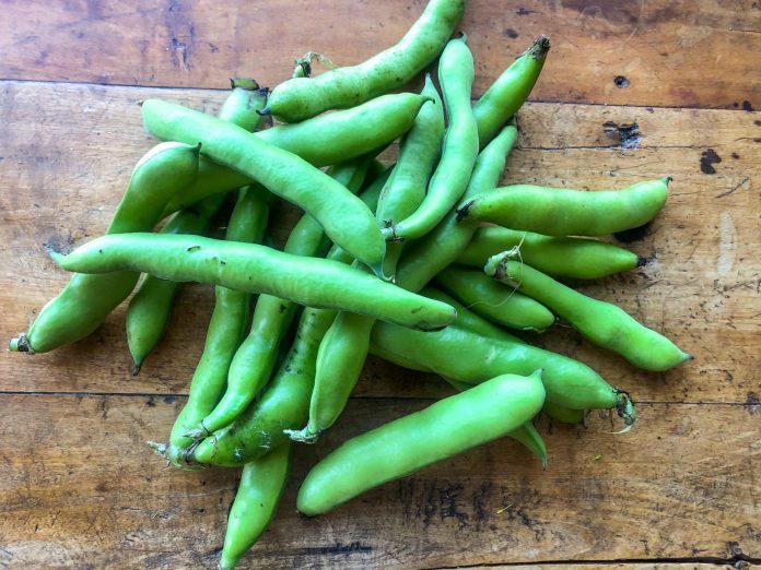 Top Ways to Use Fava Beans