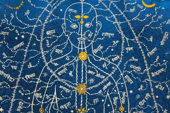 What Are Nadis? The Three Main Nadis: Ida, Pingala, Sushumna - Fitsri Yoga