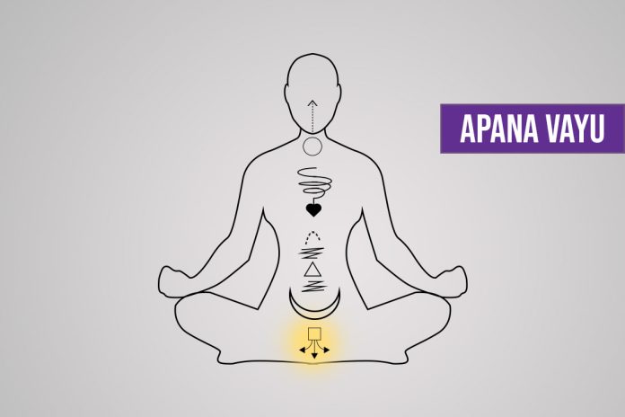 What is Apana Vayu? Symptoms of Imbalance and How to Balance It - Fitsri Yoga
