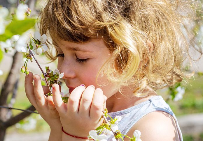 How are nature and mental health linked? - CHOC
