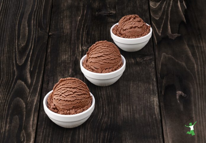Dairy-Free Chocolate Ice Cream | Healthy Home Economist
