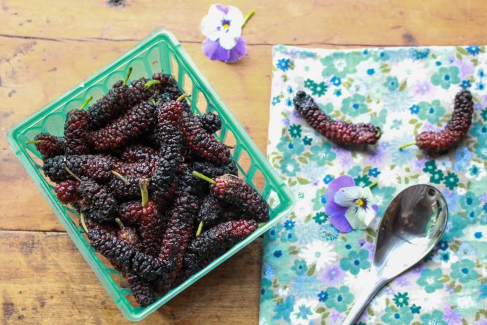 How to Use Mulberries - Sharon Palmer, The Plant Powered Dietitian